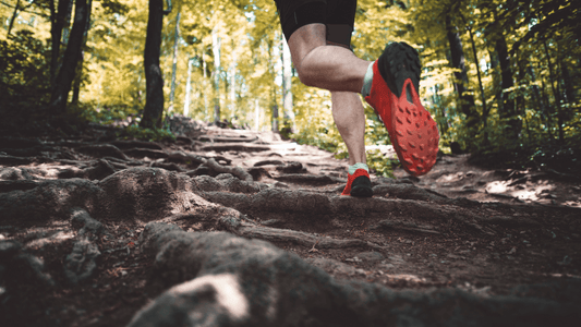 Les 5 bienfaits d’une boisson isotonique pendant un marathon ou un trail